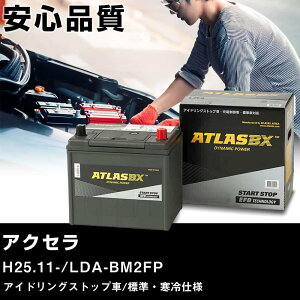  obe[ }c_ ANZ H25.11-/LDA-BM2FP AChOXgbv/WEdl KQl AgX SE T-110(D31L) J[eiX Ԍ ԗpi yH41001z