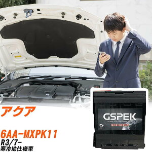 g^ ANA MXPK11 R3/7- ndl obe[  GSPEK ENV[Y D-54418/PL yH04006z