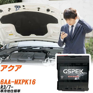 g^ ANA MXPK16 R3/7- ndl obe[  GSPEK ENV[Y D-54418/PL yH04006z