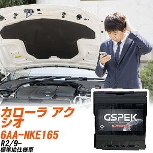 g^ J[ ANVI NKE165 R2/9- Wndl obe[  GSPEK ENV[Y D-54418/PL yH04006z