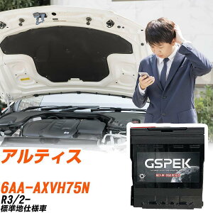 �_�C�n�c �A���e�B�X AXVH75N R3/2- �W���n�d�l�� �o�b�e���[ �� GSPEK EN�V���[�Y D-56219/PL �yH04006�z