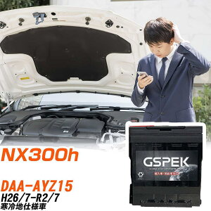 NTX NX300h AYZ15 H26/7-R2/7 ndl obe[  GSPEK ENV[Y D-56219/PL yH04006z