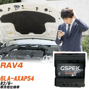 �g���^ RAV4 AXAP54 R2/6- ����n�d�l�� �o�b�e���[ �� GSPEK EN�V���[�Y D-56219/PL �yH04006�z