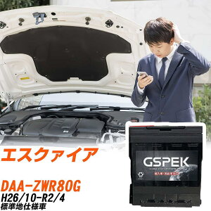 g^ GXN@CA ZWR80G H26/10-R2/4 Wndl obe[  GSPEK ENV[Y D-56219/PL yH04006z