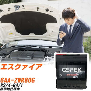 g^ GXN@CA ZWR80G R2/4-R4/1 Wndl obe[  GSPEK ENV[Y D-56219/PL yH04006z