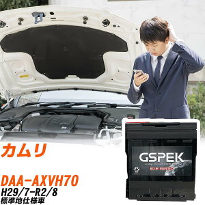 �g���^ �J���� AXVH70 H29/7-R2/8 �W���n�d�l�� �o�b�e���[ �� GSPEK EN�V���[�Y D-56219/PL �yH04006�z