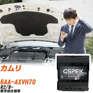 �g���^ �J���� AXVH70 R2/8- ����n�d�l�� �o�b�e���[ �� GSPEK EN�V���[�Y D-56219/PL �yH04006�z