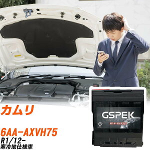 �g���^ �J���� AXVH75 R1/12- ����n�d�l�� �o�b�e���[ �� GSPEK EN�V���[�Y D-56219/PL �yH04006�z