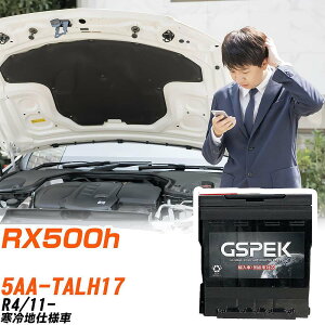 ���N�T�X RX500h TALH17 R4/11- ����n�d�l�� �o�b�e���[ �� GSPEK EN�V���[�Y D-57412/PL �yH04006�z