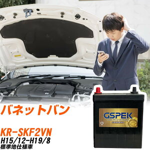 ���Y �o�l�b�g�o�� SKF2VN H15/12-H19/8 �W���n�d�l�� �o�b�e���[ GSPEK �� G�V���[�Y G-120D31L/PL �yH04006�z