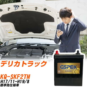 �O�H �f���J�g���b�N SKF2TM H17/11-H19/8 �W���n�d�l�� �o�b�e���[ GSPEK �� G�V���[�Y G-120D31L/PL �yH04006�z