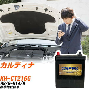 �g���^ �J���f�B�i CT216G H9/9-H14/9 �W���n�d�l�� �o�b�e���[ GSPEK �� G�V���[�Y G-120D31L/PL �yH04006�z