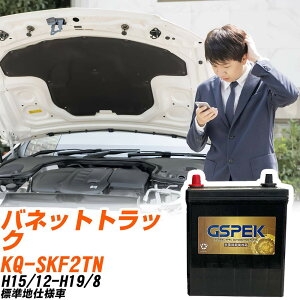 ���Y �o�l�b�g�g���b�N SKF2TN H15/12-H19/8 �W���n�d�l�� �o�b�e���[ GSPEK �� G�V���[�Y G-120D31L/PL �yH04006�z