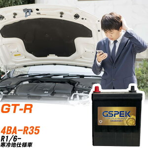 ���Y GT-R R35 R1/6- ����n�d�l�� �o�b�e���[ GSPEK �� G�V���[�Y G-65B24L/PL �yH04006�z