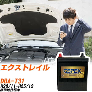 Y GNXgC T31 H20/11-H25/12 Wndl obe[ GSPEK  GV[Y G-65B24L/PL yH04006z