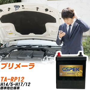 ���Y �v�����[�� RP12 H14/5-H17/12 �W���n�d�l�� �o�b�e���[ GSPEK �� G�V���[�Y G-65B24L/PL �yH04006�z