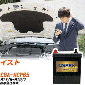 トヨタ イスト NCP65 H17/5-H19/7 標準地仕様車 バッテリー GSPEK 車 Gシリーズ G-65B24R/PL 【H04006】