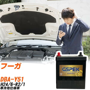 Y t[K Y51 H24/6-R2/1 ndl obe[ GSPEK  GV[Y G-85D23L/PL yH04006z