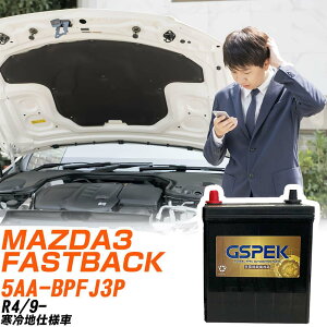 �}�c�_ MAZDA3 FASTBACK BPFJ3P R4/9- ����n�d�l�� �o�b�e���[ GSPEK �� G�V���[�Y G-85D23L/PL �yH04006�z