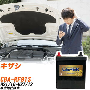 �X�Y�L �L�U�V RF91S H21/10-H27/12 ����n�d�l�� �o�b�e���[ GSPEK �� G�V���[�Y G-85D23L/PL �yH04006�z