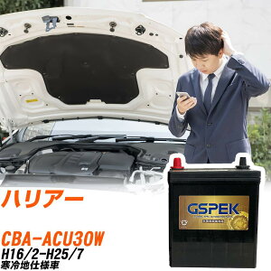 g^ nA[ ACU30W H16/2-H25/7 ndl obe[ GSPEK  GV[Y G-85D23L/PL yH04006z