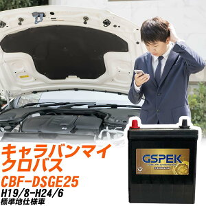 Y Lo}CNoX DSGE25 H19/8-H24/6 Wndl obe[ GSPEK  GV[Y G-85D23R/PL yH04006z