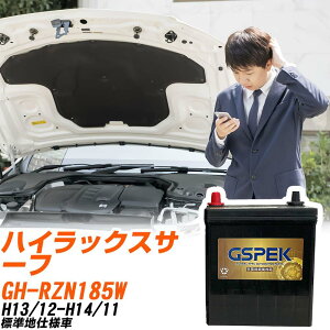 g^ nCbNXT[t RZN185W H13/12-H14/11 Wndl obe[ GSPEK  GV[Y G-95D26L/PL yH04006z