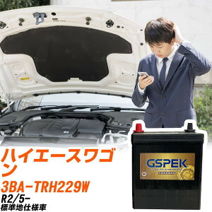 g^ nCG[XS TRH229W R2/5- Wndl obe[ GSPEK  GV[Y G-95D26R/PL yH04006z