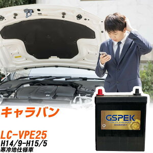 Y Lo VPE25 H14/9-H15/5 ndl obe[ GSPEK  GV[Y G-95D26R/PL yH04006z