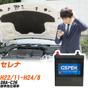 Y Zi C26 H22/11-H24/8 Wndl obe[ ԗp GSPEK WV[Y W-S100/PL yH04006z