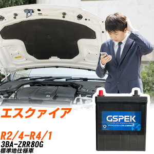 g^ GXN@CA ZRR80G R2/4-R4/1 Wndl obe[ ԗp GSPEK WV[Y W-S100/PL yH04006z