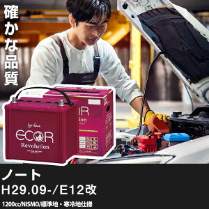  obe[ Y m[g 2017(H29).09-/E12 1200cc/NISMO/WnEn KQl GSAT ER-N-65/75B24L J[eiX Ԍ ԗpiyH31006z