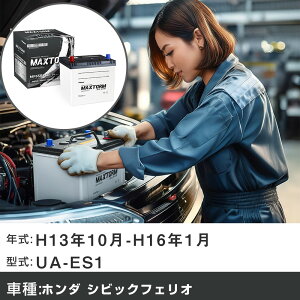 �� �o�b�e���[ �z���_ �V�r�b�N�t�F���I H13�N10��-H16�N1�� UA-ES1 1500cc/�i�r/�[�d����V�X�e�����ڎ�/����n�d�l�� �K���Q�l �}�b�N�X�g�[�� MAXTORM SILVER MF65B24R �J�[�����e�i���X �Ԍ����� ����