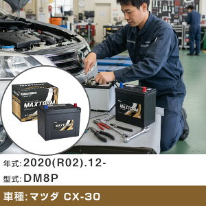  obe[ }c_ CX-30 2020(R02).12-/DM8P 1800cc/ISS WnEn KQl }bNXg[ MAXTORM GOLD-ISS S-120(D26L) J[eiX Ԍ ԗpi yH41001z