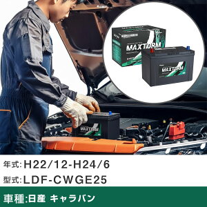 �� �o�b�e���[ ���Y �L�����o�� H22/12-H24/6 LDF-CWGE25 3000cc/�W���n�d�l�� �K���Q�l �}�b�N�X�g�[�� MAXTORM SMF(�V�[���h) SMF115D31R �J�[�����e�i���X �Ԍ����� �����ԗp�i �yH41001�z