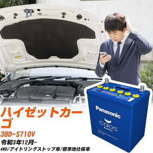 �_�C�n�c �n�C�[�b�g�J�[�S �Ή��o�b�e���[ S710V R3/12- �W���n�d�l�� �o�b�e���[ �p�i�\�j�b�N �J�I�X �J�[�o�b�e���[ N-M65/A4 �yH04006�z