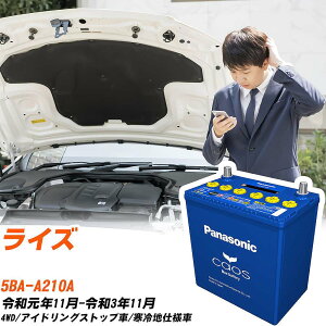 �g���^ ���C�Y �Ή��o�b�e���[ A210A R1/11-R3/11 ����n�d�l�� �o�b�e���[ �p�i�\�j�b�N �J�I�X �J�[�o�b�e���[ N-M65/A4 �yH04006�z