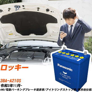 �_�C�n�c ���b�L�[ �Ή��o�b�e���[ A210S R3/11- ����n�d�l�� �o�b�e���[ �p�i�\�j�b�N �J�I�X �J�[�o�b�e���[ N-N80/A4 �yH04006�z