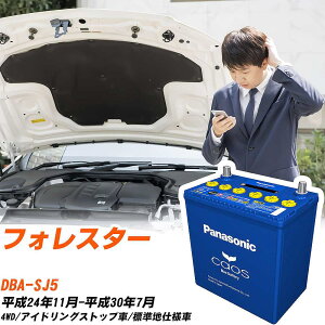 Xo tHX^[ Ήobe[ SJ5 H24/11-H30/7 Wndl obe[ pi\jbN JIX J[obe[ N-Q105/A4 yH04006z