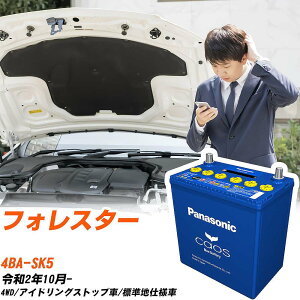 Xo tHX^[ Ήobe[ SK5 R2/10- Wndl obe[ pi\jbN JIX J[obe[ N-Q105/A4 yH04006z