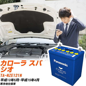 �g���^ �J���[�� �X�p�V�INZE121N H13/5-H15/4 ����n�d�l�� �o�b�e���[ �p�i�\�j�b�N �J�I�X �J�[�o�b�e���[ N-80B24L/C8 �yH04006�z