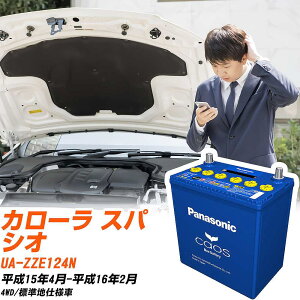 トヨタ カローラ スパシオZZE124N H15/4-H16/2 標準地仕様車 バッテリー パナソニック カオス カーバッテリー N-80B24L/C8 【H04006】