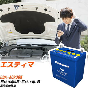トヨタ エスティマACR30W H16/9-H18/1 寒冷地仕様車 バッテリー パナソニック カオス カーバッテリー N-100D23L/C8 【H04006】