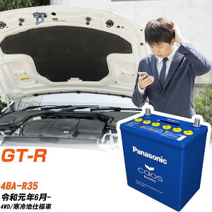 ���Y GT-RR35 R1/6- ����n�d�l�� �o�b�e���[ �p�i�\�j�b�N �J�I�X �J�[�o�b�e���[ N-80B24L/C8 �yH04006�z