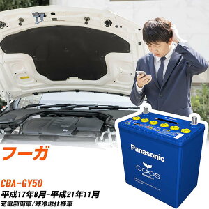 日産 フーガGY50 H17/8-H21/11 寒冷地仕様車 バッテリー パナソニック カオス カーバッテリー N-100D23L/C8 【H04006】