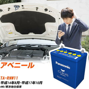 ���Y �A�x�j�[��RNW11 H14/8-H17/10 ����n�d�l�� �o�b�e���[ �p�i�\�j�b�N �J�I�X �J�[�o�b�e���[ N-100D23L/C8 �yH04006�z