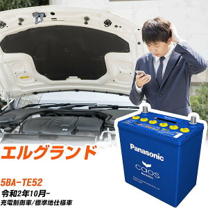 ���Y �G���O�����hTE52 R2/10- �W���n�d�l�� �o�b�e���[ �p�i�\�j�b�N �J�I�X �J�[�o�b�e���[ N-100D23L/C8 �yH04006�z
