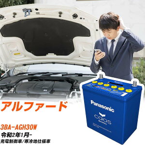 �g���^ �A���t�@�[�hAGH30W R2/1- ����n�d�l�� �o�b�e���[ �p�i�\�j�b�N �J�I�X �J�[�o�b�e���[ N-125D26L/C8 �yH04006�z