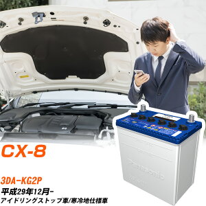 }c_ CX-8Ήobe[ KG2P H29/12- ndl J[obe[ pi\jbN T[N  N-S100/CR yH04006z