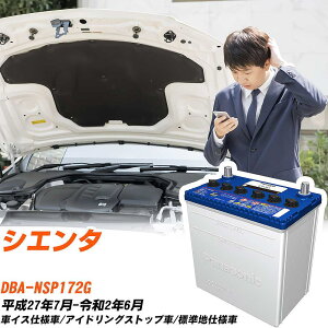 g^ VG^Ήobe[ NSP172G H27/7-R2/6 Wndl J[obe[ pi\jbN T[N  N-S100/CR yH04006z